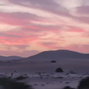 https://elcorralito.hotelsfuerteventura.org